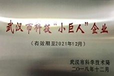 科技小巨人企业